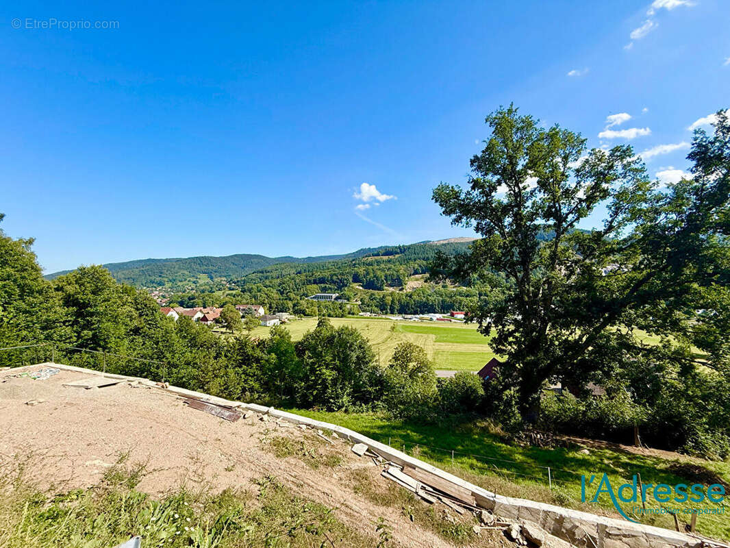 Terrain à MUHLBACH-SUR-MUNSTER