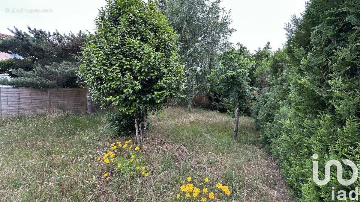 Photo 2 - Terrain à ARES