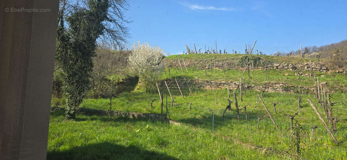 Maison à NIEDERMORSCHWIHR