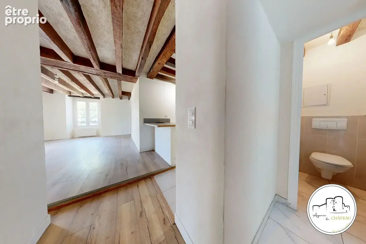 Appartement de caractère   Cœur de ville d’Angers - photo 14