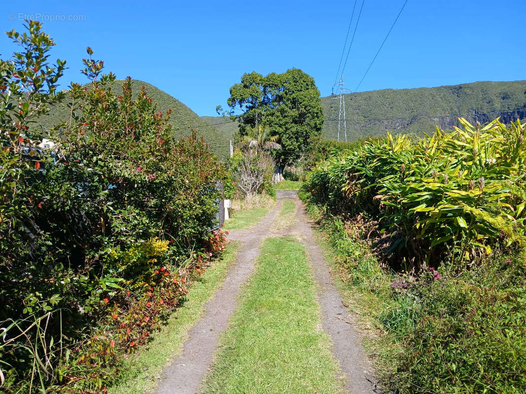 Parcelle de terrain constructible de 942 m² plaine des palmistes - photo 4