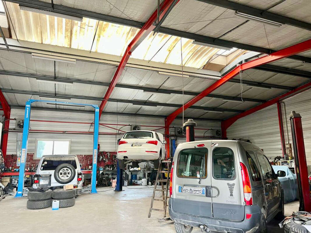 Commerce à WALTENHEIM