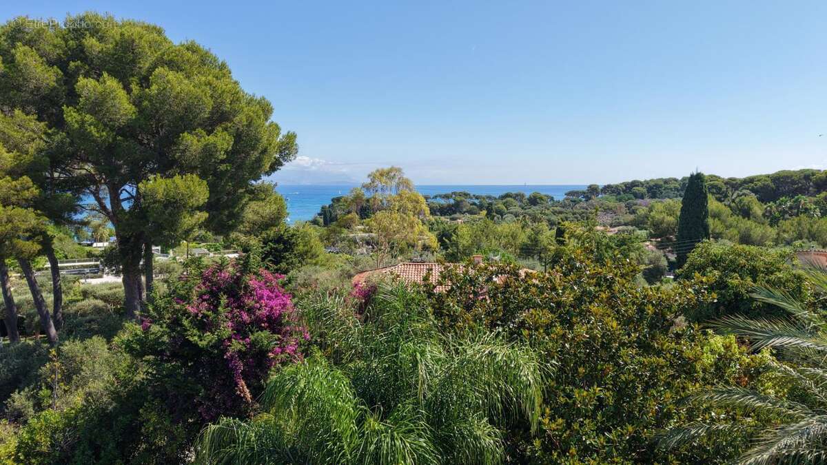 Maison à ANTIBES