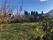 Terrain à BOURGUEIL