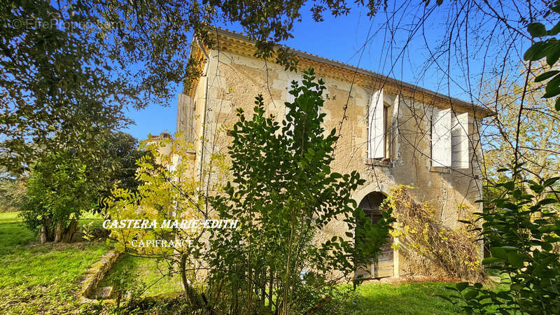 Propriété - Château Gascon Historique  - Terres agricoles, proche de AUCH (32) - photo 11