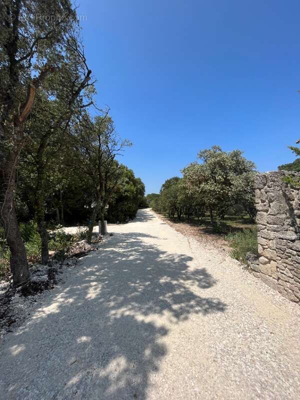 Terrain à SAINT-RESTITUT