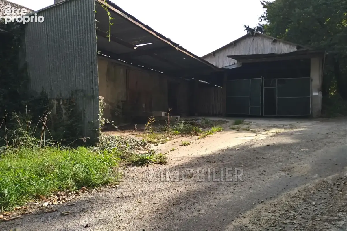Terrain 3 127 m² à vendre à Gesvres (53370) - photo 4