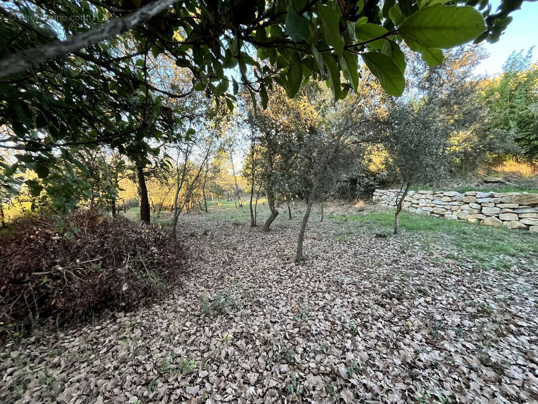 Terrain constructible - photo 4
