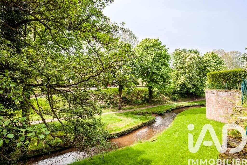 Photo 5 - Commerce à WISSEMBOURG