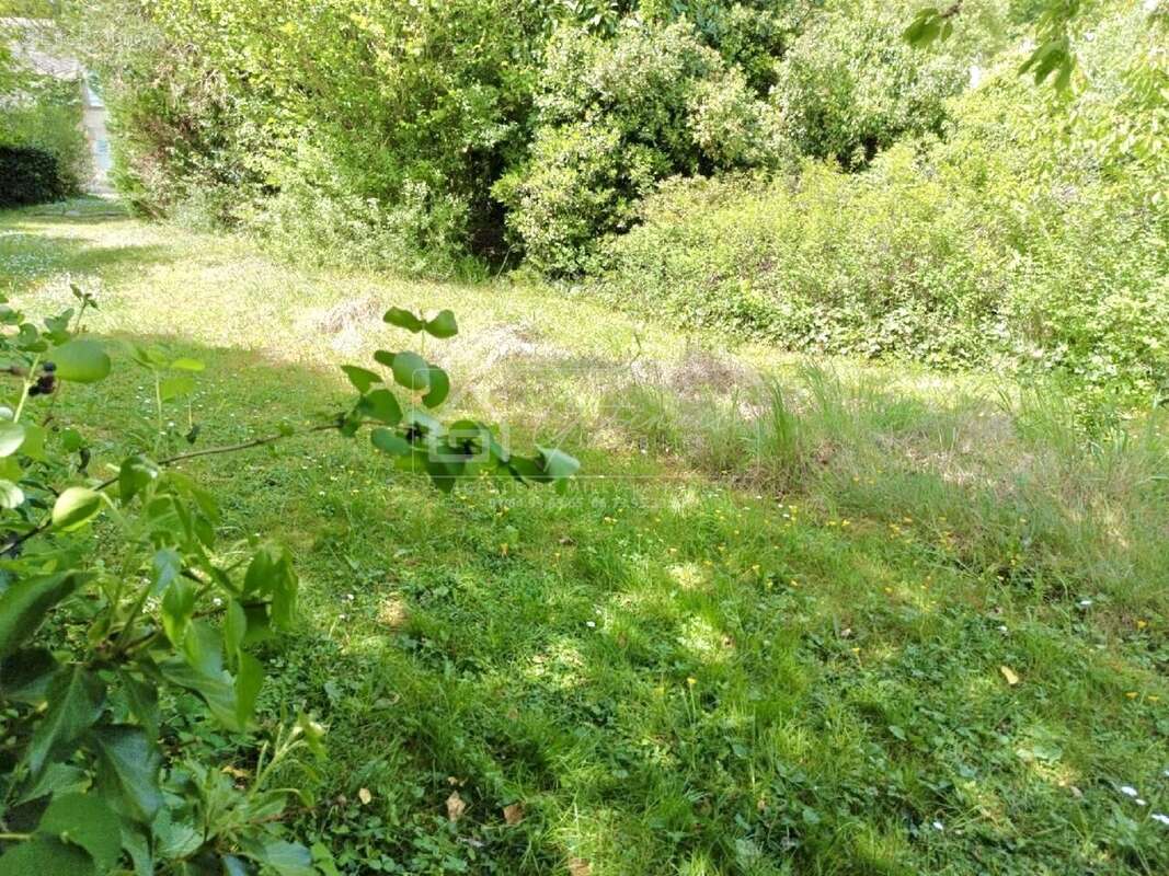 Terrain à LA FERTE-ALAIS