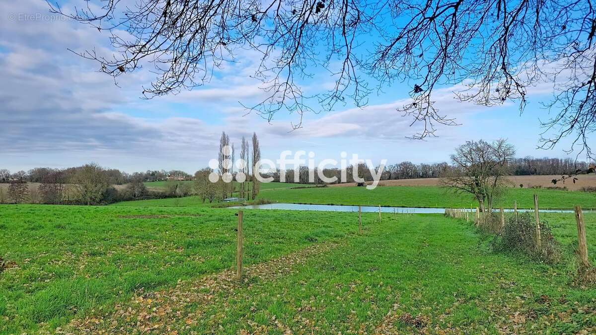 Terrain à LA FERRIERE