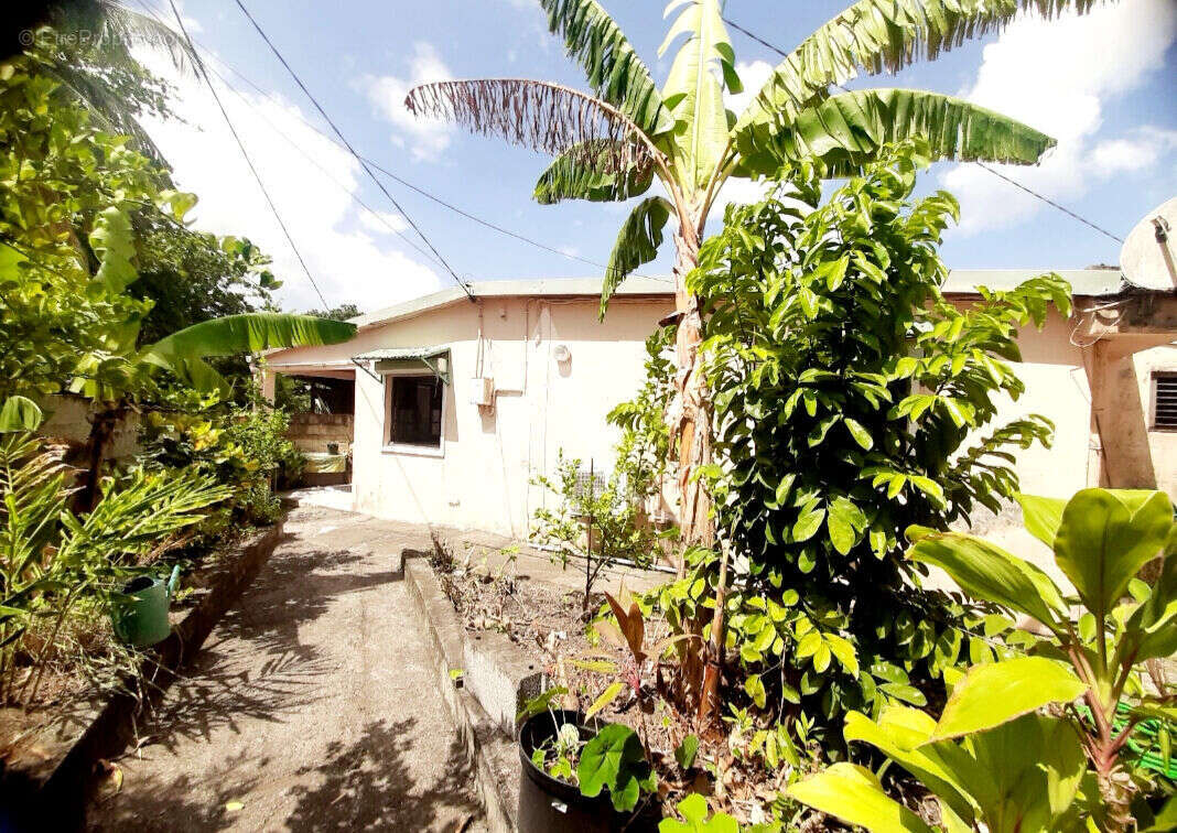 Maison à SAINT-PIERRE