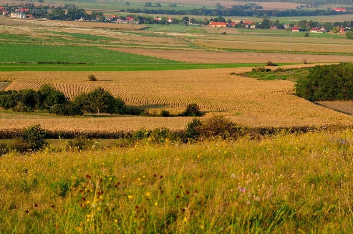 Terrain à LA ROCHE-SUR-YON