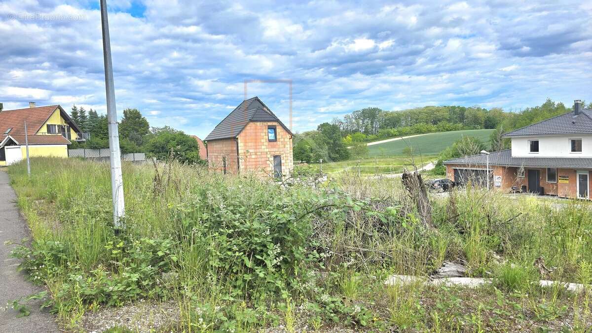 Exclusivité : terrain constructible et viabilisé - photo 4