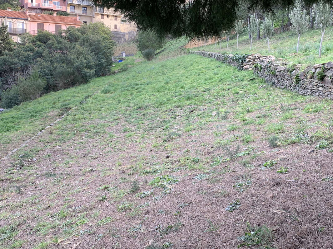 Terrain à PORT-VENDRES