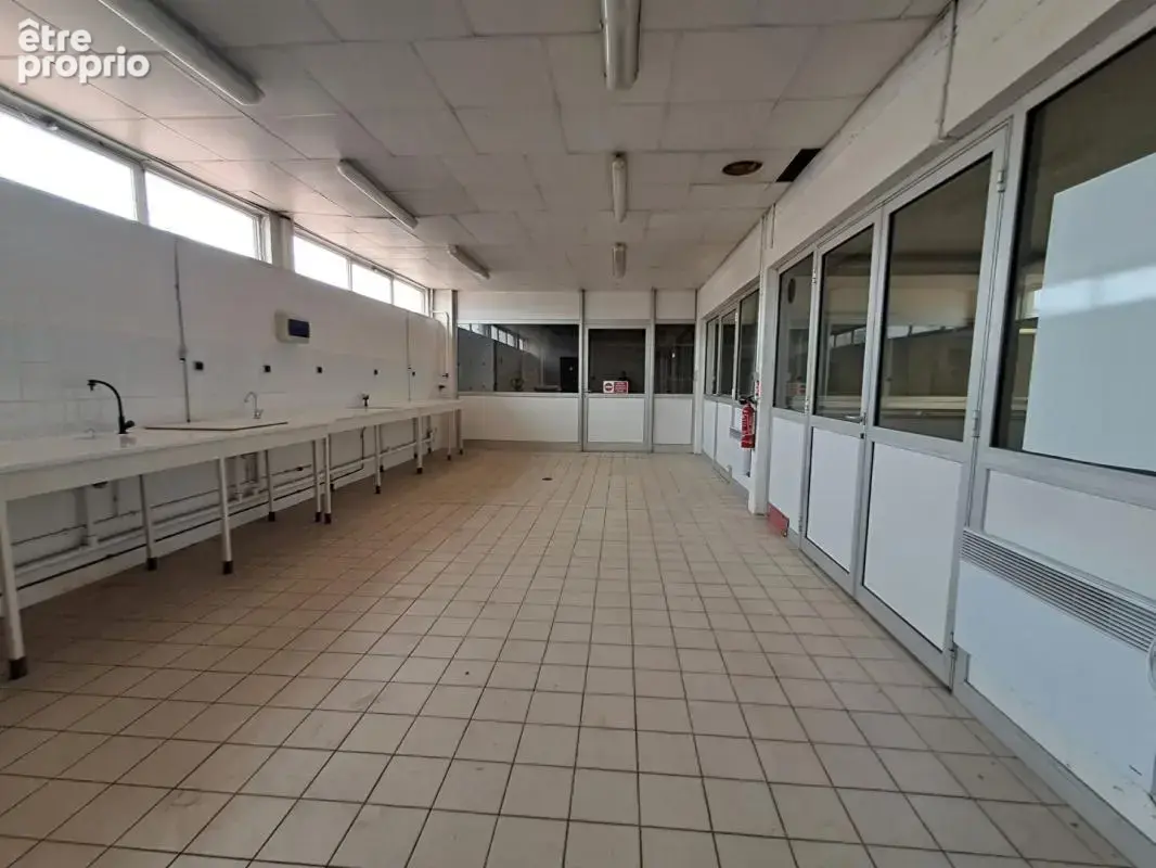 Batiment d'activité  540 m2 - photo 7