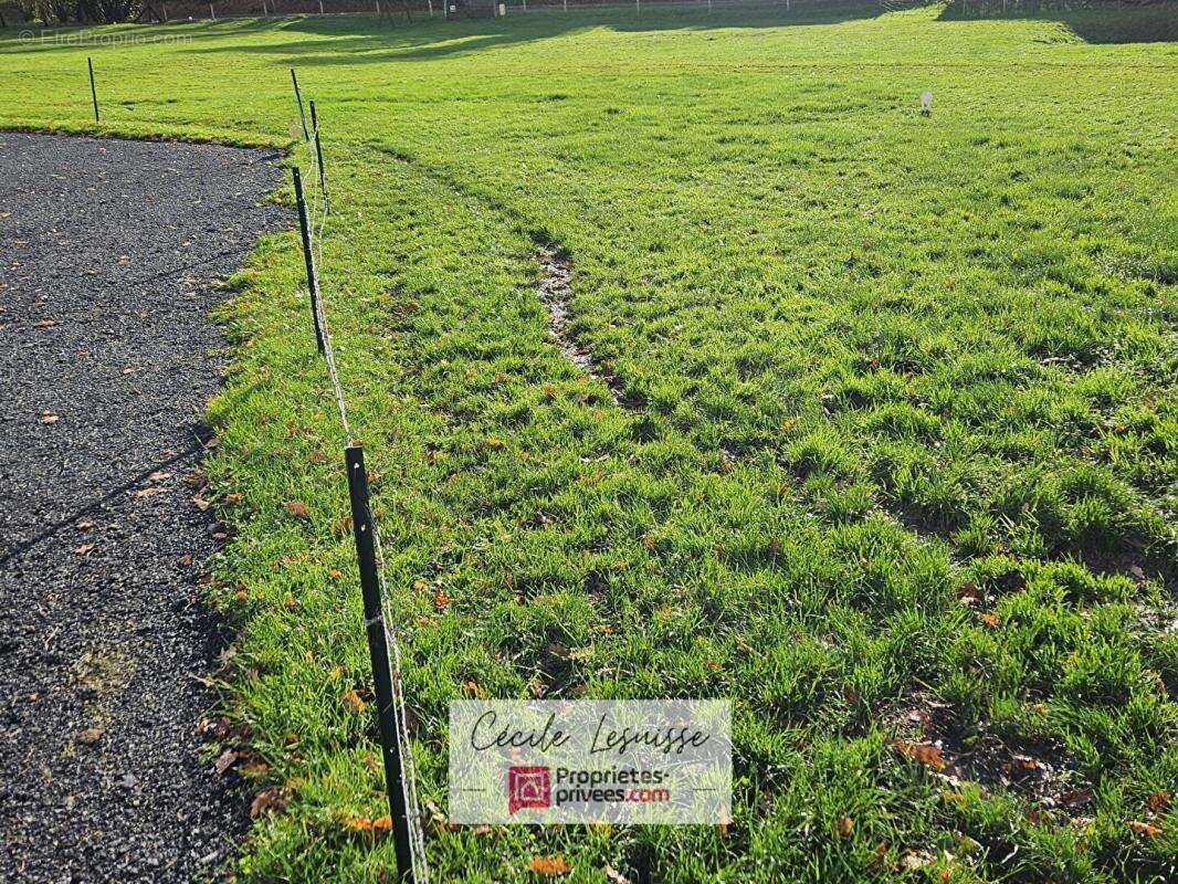 Terrain à SAINT-ANTOINE-LA-FORET