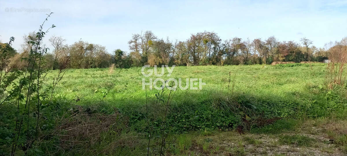 Terrain à BRUCHEVILLE