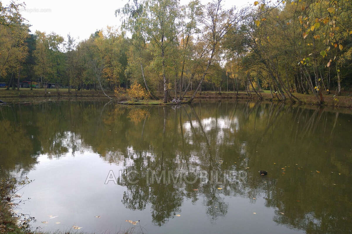 Terrain à SAINT-LEONARD-DES-BOIS