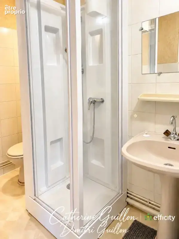 Appartement 8 pièces 258 m² à vendre à Chatellerault (86100) - photo 13