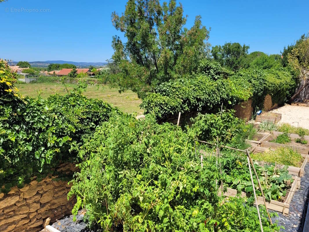 Maison à ALIGNAN-DU-VENT