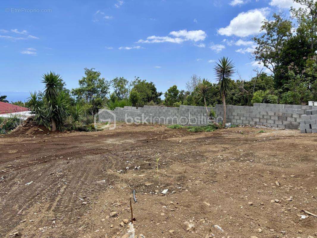Terrain à LE TAMPON