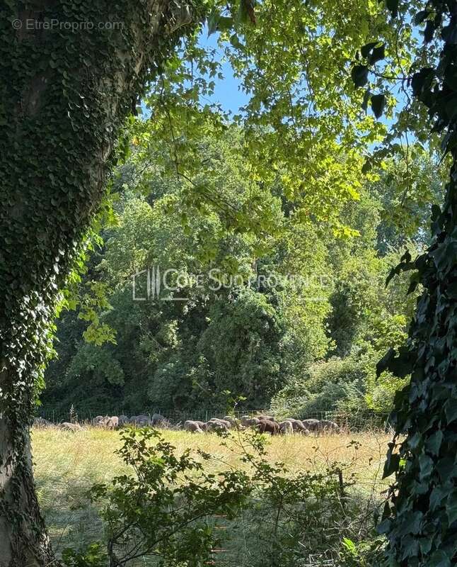 Propriete pernes les fontaines - photo 66