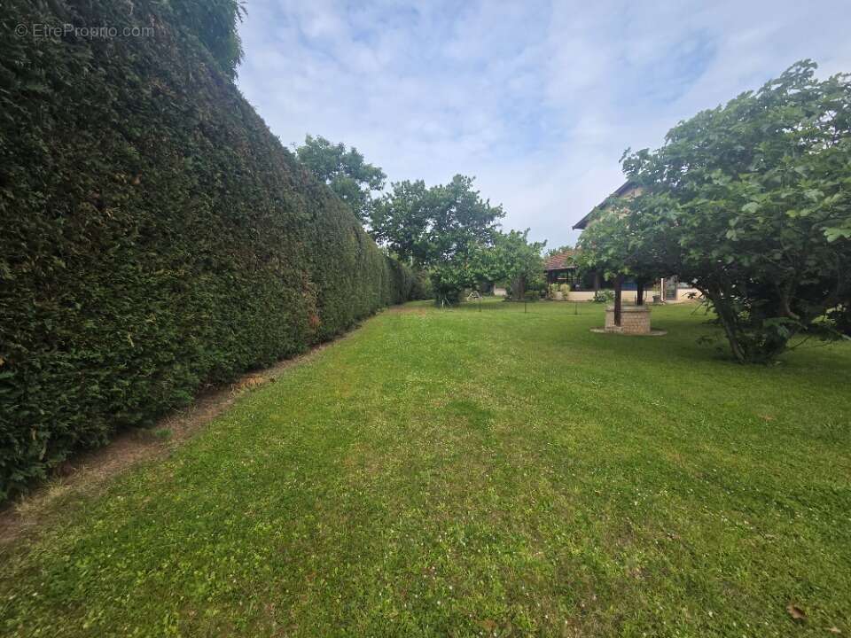 Terrain 719 m² à Brignais  - photo 2