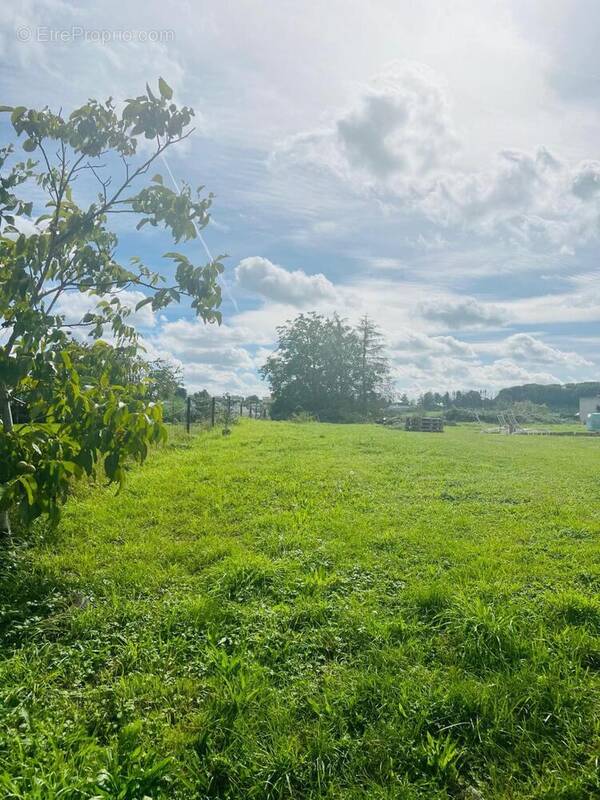 Photo 1 - Terrain à ROUSSY-LE-VILLAGE