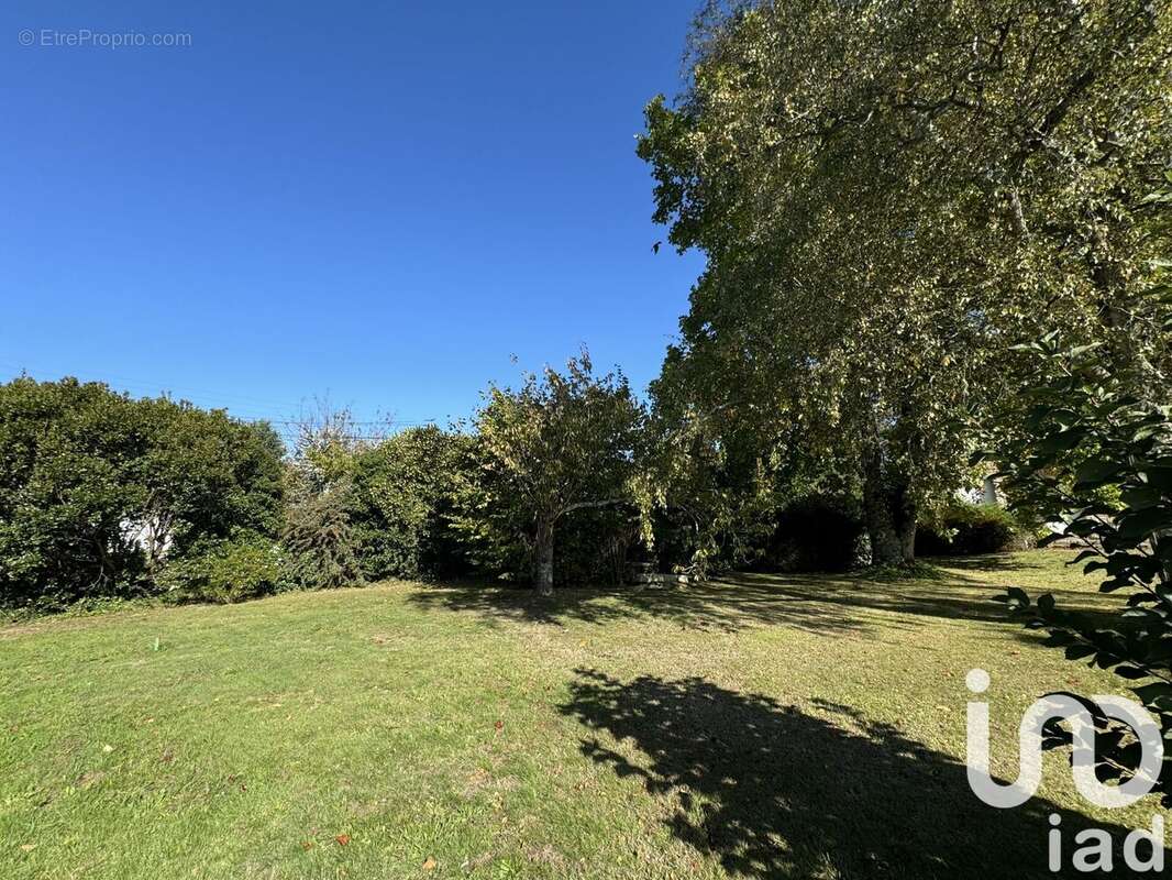 Photo 3 - Terrain à BONO