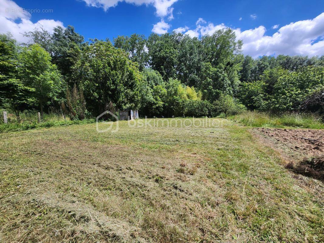Terrain à CURZAY-SUR-VONNE