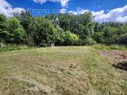 Terrain à CURZAY-SUR-VONNE