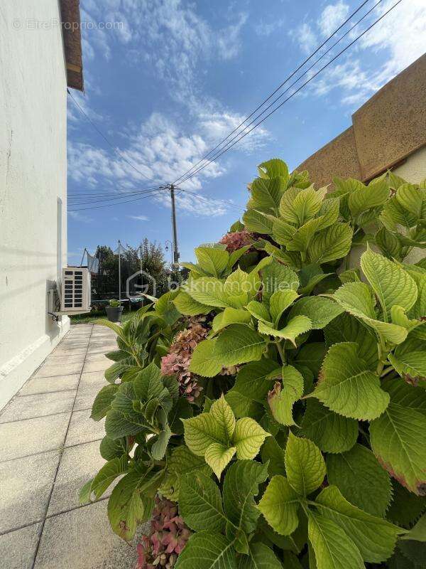 Maison à LES CLAYES-SOUS-BOIS