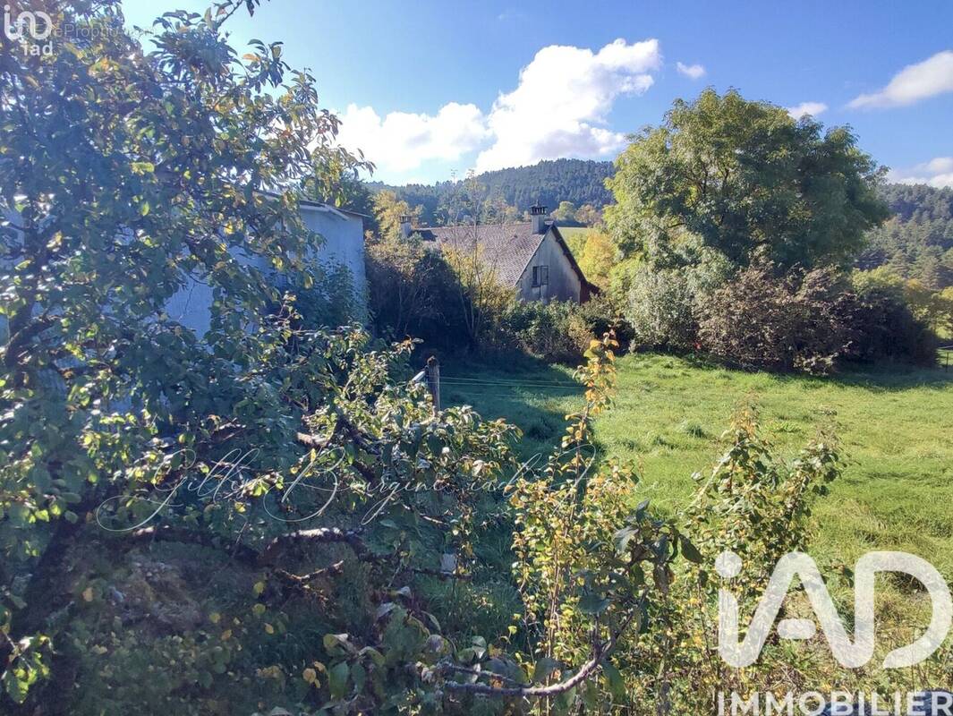 Photo 1 - Maison à LE MASSEGROS