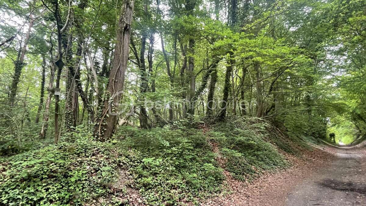 Terrain à ULLY-SAINT-GEORGES