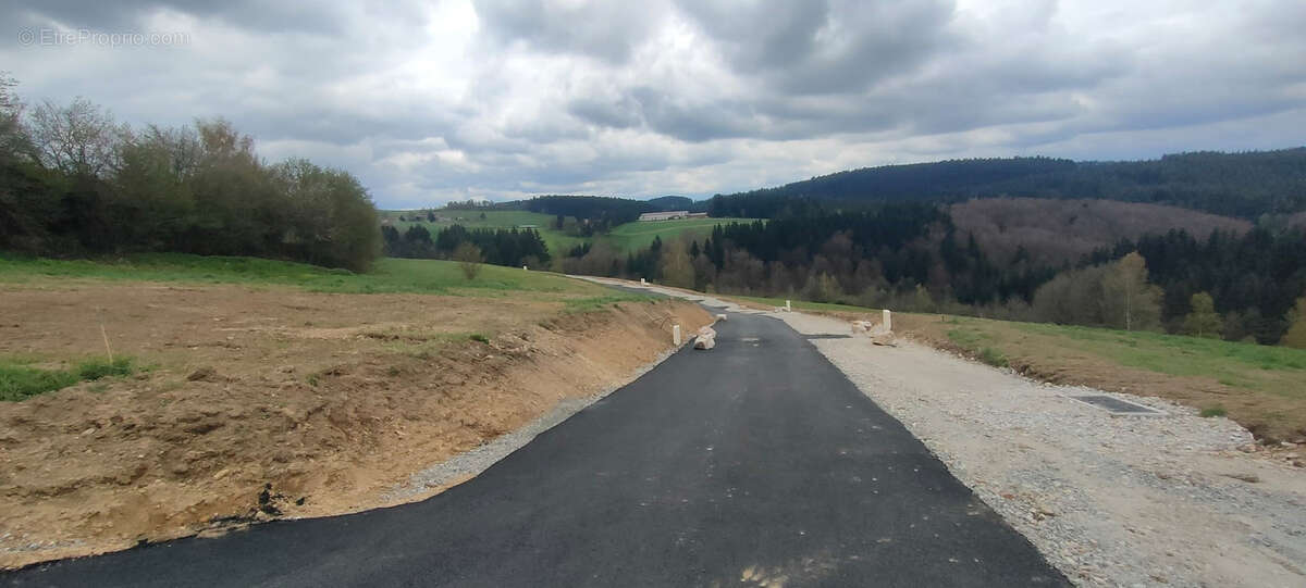 Terrain à SAINT-ROMAIN-LES-ATHEUX