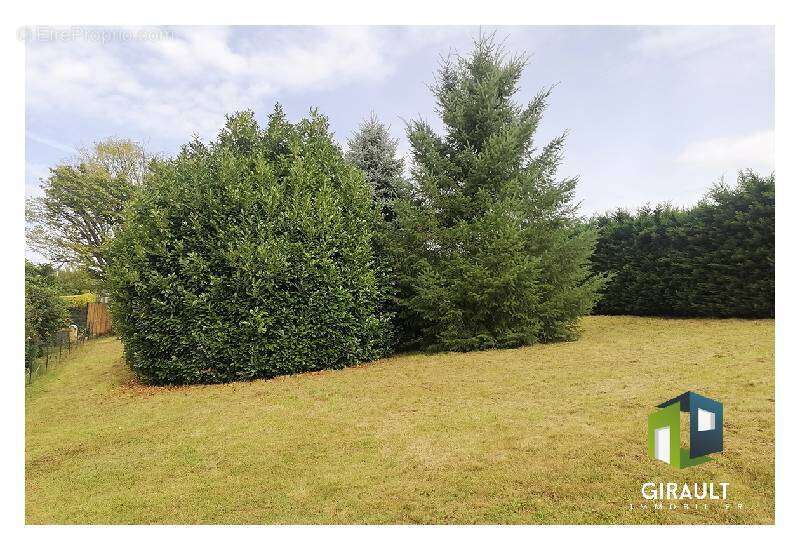 Terrain 1230 m² à Traubach-Le-Haut  - photo 2