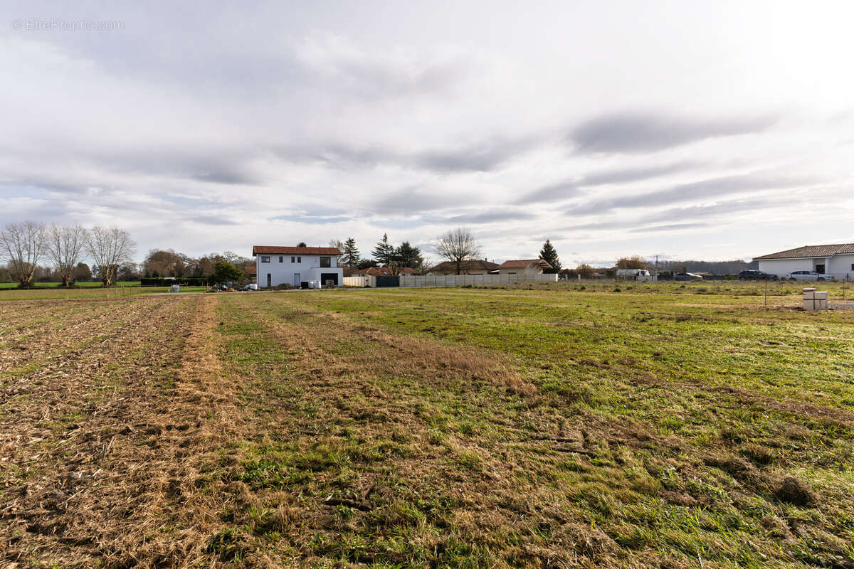 Terrain à SAINT-MARTIN-DE-HINX