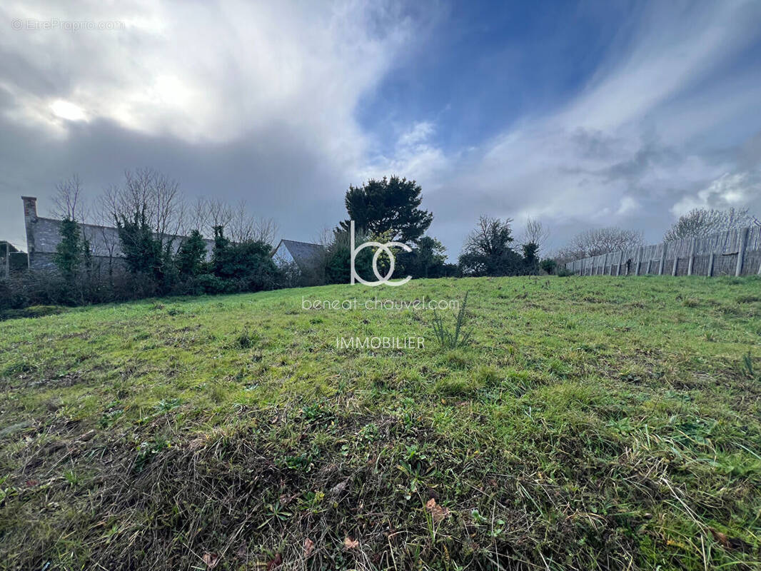 Terrain à SARZEAU