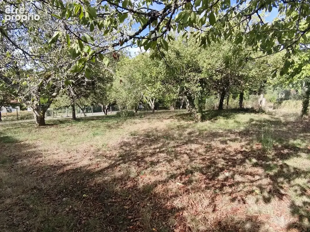 Terrain à VEYRAC