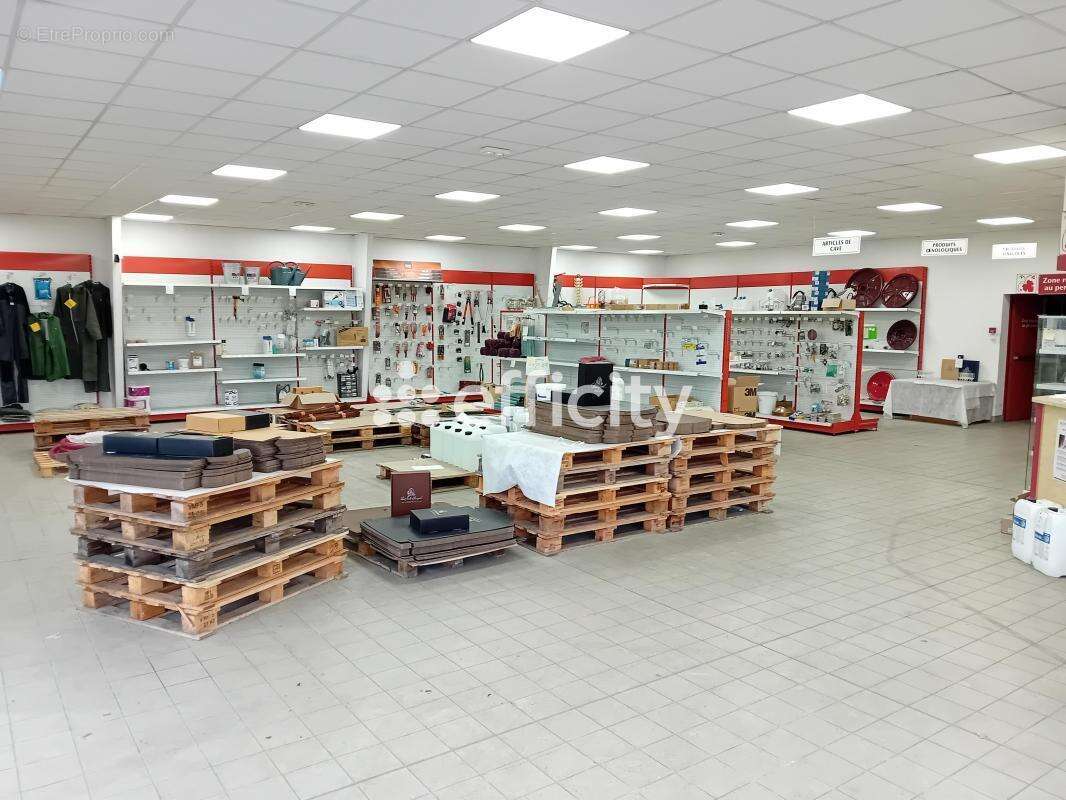 Commerce à BOURGUEIL