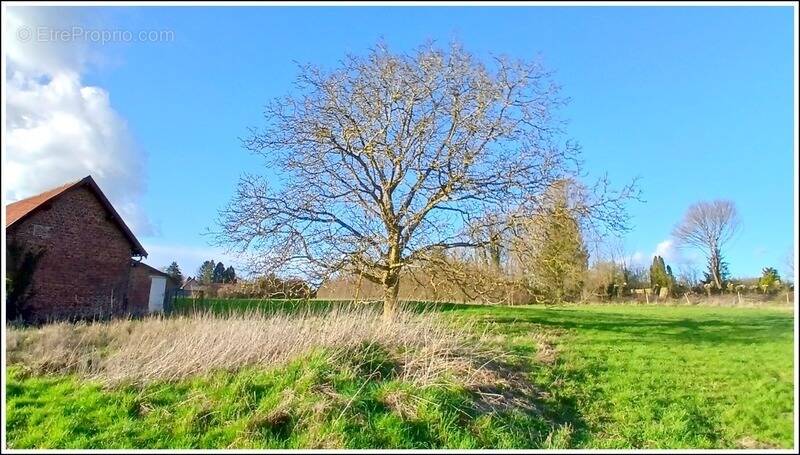 Terrain à BIENVILLERS-AU-BOIS