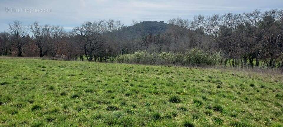 Terrain à FOX-AMPHOUX