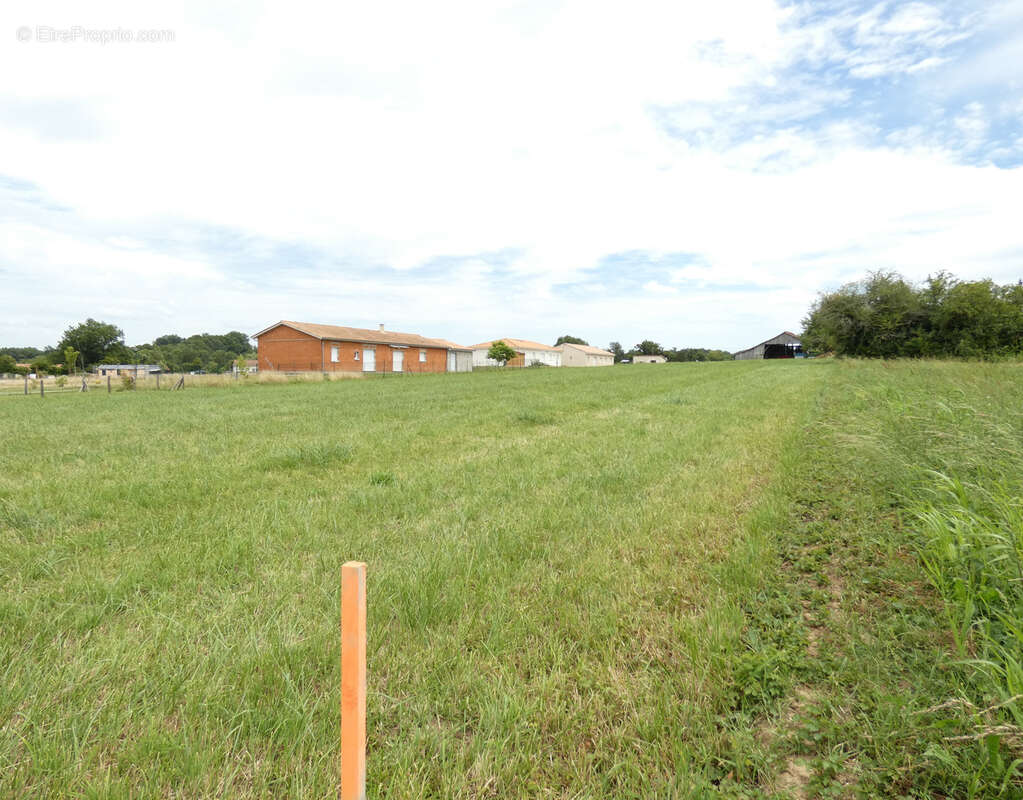 Terrain à SAINT-ANTOINE-CUMOND