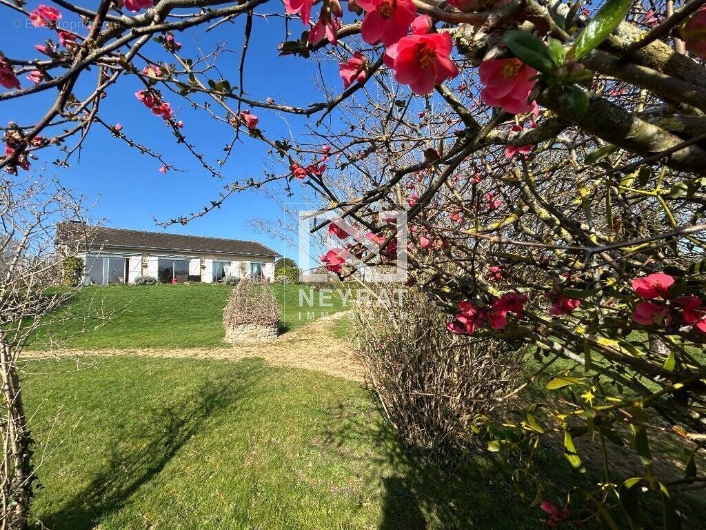 Maison à SENNECEY-LE-GRAND