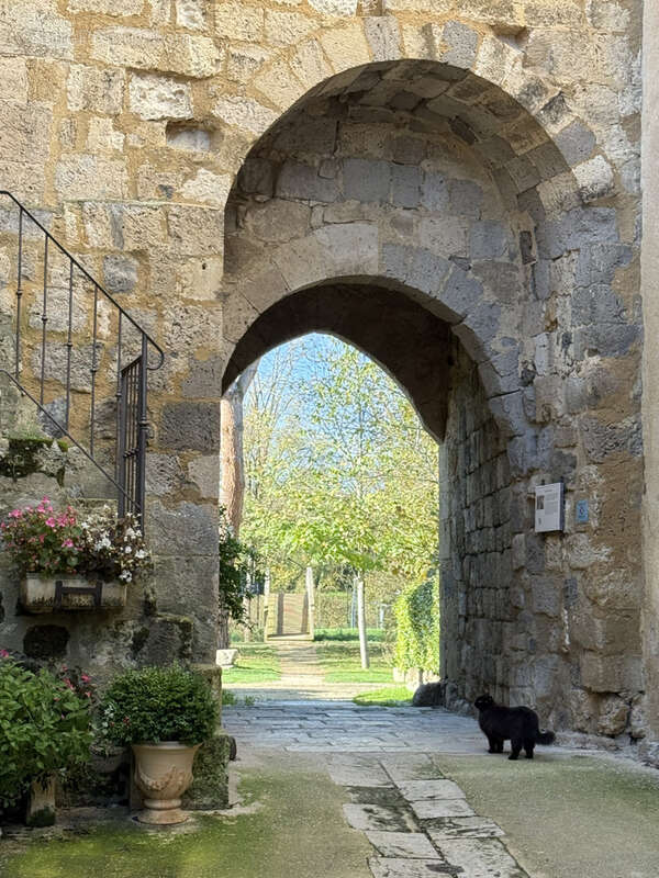Maison de village avec terrasse de toit à Fourcès - photo 14