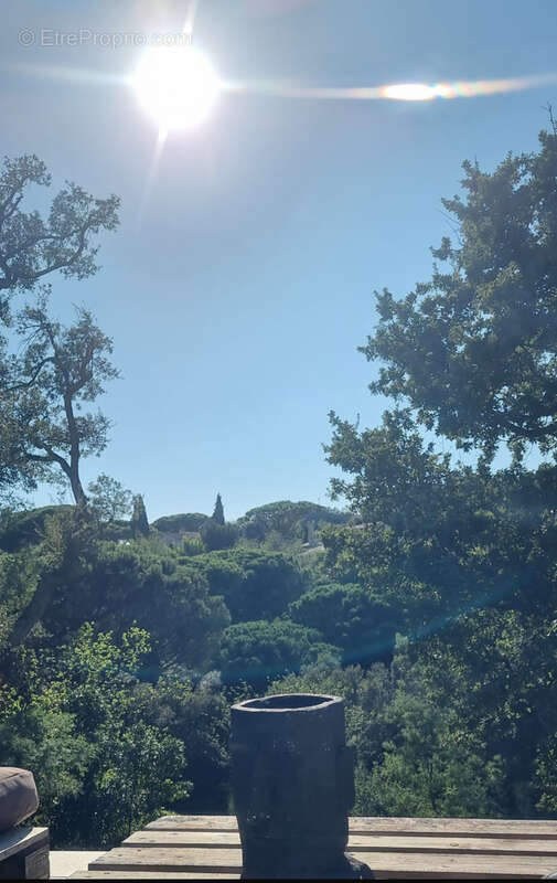 Maison à ROQUEBRUNE-SUR-ARGENS