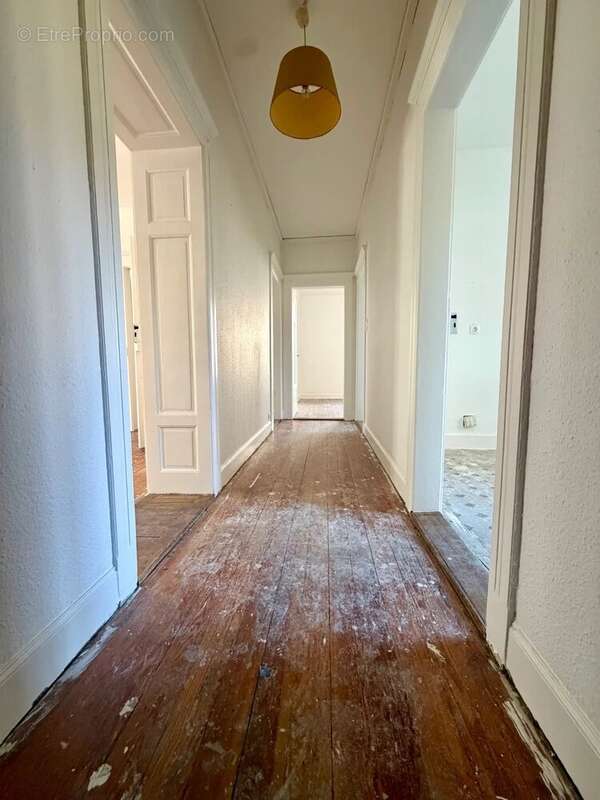 Appartement à SCHILTIGHEIM