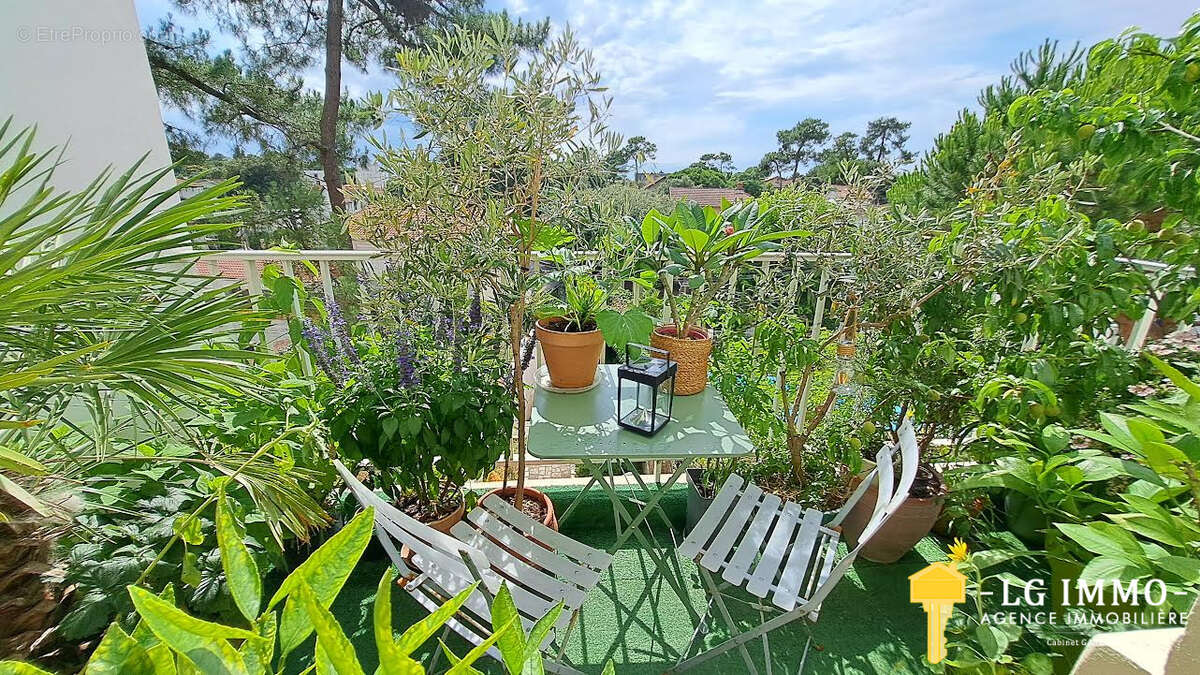 Appartement à SAINT-GEORGES-DE-DIDONNE