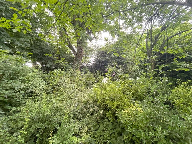 Maison à LOTTINGHEN